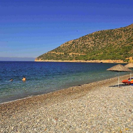 Melinda Pension & Restaurant Mesudiye  Kültér fotó