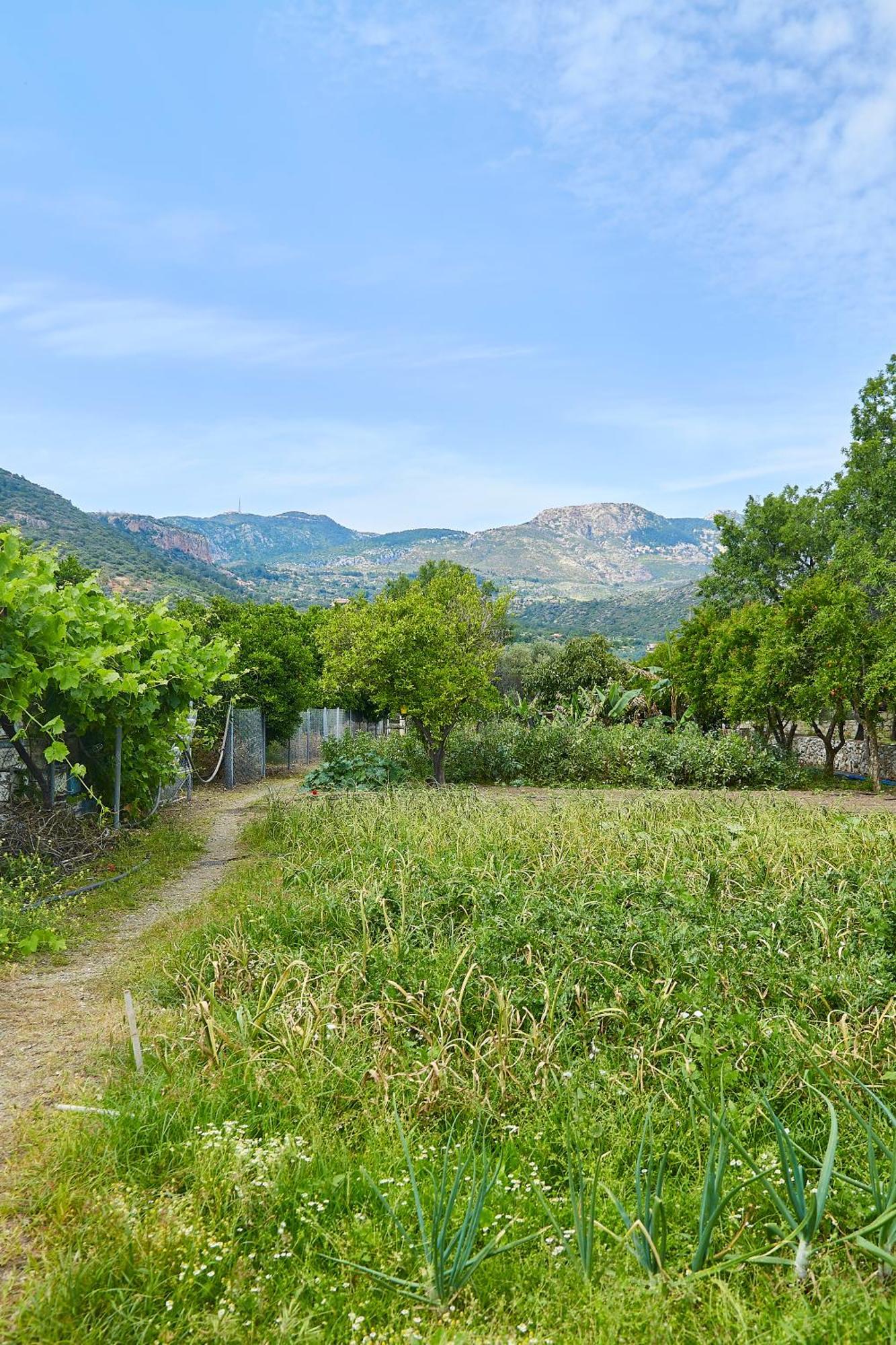 Melinda Pension & Restaurant Mesudiye  Kültér fotó